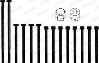 Payen HBS010 - Kit bulloni testata www.autoricambi360.it