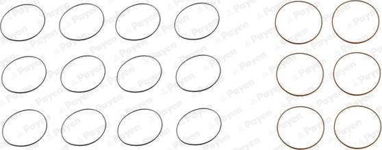 Payen HL5003 - Kit guarnizioni, Canna cilindro www.autoricambi360.it