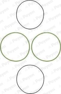Payen HL5070 - Kit guarnizioni, Canna cilindro www.autoricambi360.it
