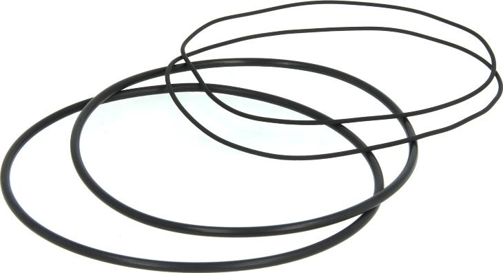 Payen HL5191 - Kit guarnizioni, Canna cilindro www.autoricambi360.it