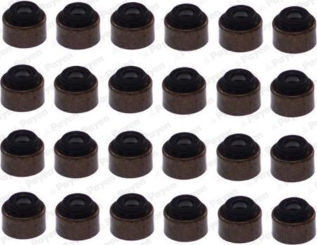 Payen HR5094 - Kit guarnizioni, Stelo valvola www.autoricambi360.it