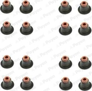 Payen HR5086 - Kit guarnizioni, Stelo valvola www.autoricambi360.it