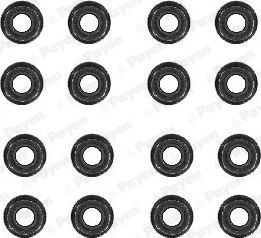 Payen HR5088 - Kit guarnizioni, Stelo valvola www.autoricambi360.it