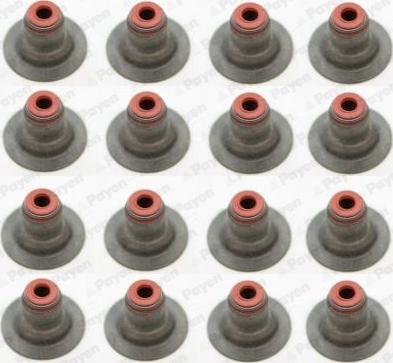 Payen HR5087 - Kit guarnizioni, Stelo valvola www.autoricambi360.it