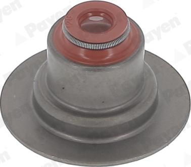 Payen HR5145 - Kit guarnizioni, Stelo valvola www.autoricambi360.it