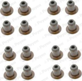 Payen HR5140 - Kit guarnizioni, Stelo valvola www.autoricambi360.it