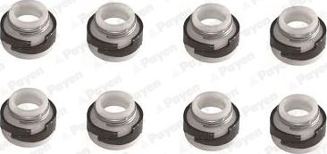Payen HR643 - Kit guarnizioni, Stelo valvola www.autoricambi360.it