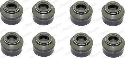 Payen HR602 - Kit guarnizioni, Stelo valvola www.autoricambi360.it
