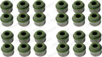 Payen HR800 - Kit guarnizioni, Stelo valvola www.autoricambi360.it
