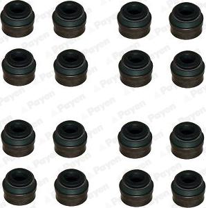 Payen HR814 - Kit guarnizioni, Stelo valvola www.autoricambi360.it