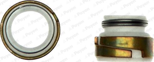 Payen HR300 - Kit guarnizioni, Stelo valvola www.autoricambi360.it
