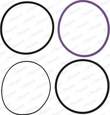 Payen HT002 - Kit guarnizioni, Canna cilindro www.autoricambi360.it