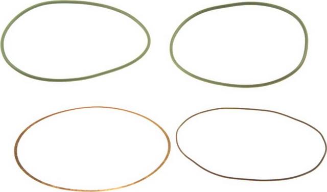 Payen HT018 - Kit guarnizioni, Canna cilindro www.autoricambi360.it