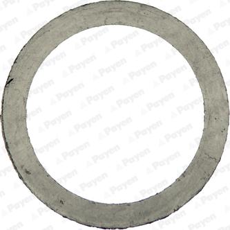 Payen JD5909 - Guarnizione, Collettore gas scarico www.autoricambi360.it