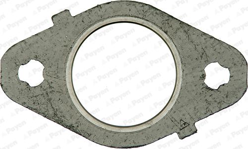 Payen JD5970 - Guarnizione, Collettore gas scarico www.autoricambi360.it