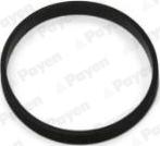 Payen JD6096 - Guarnizione, Collettore aspirazione www.autoricambi360.it