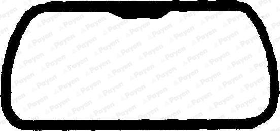 Payen JM986 - Guarnizione, Copritestata www.autoricambi360.it