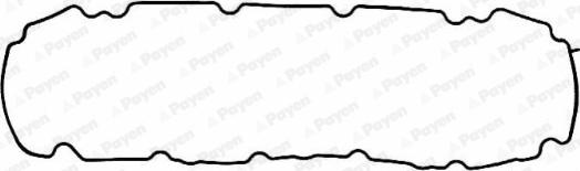Payen JM5045 - Guarnizione, Copritestata www.autoricambi360.it