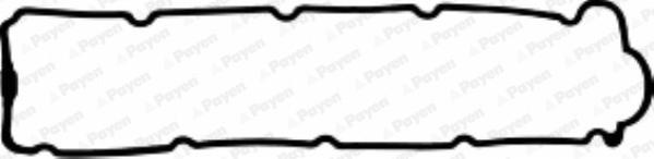 Payen JM5063 - Guarnizione, Copritestata www.autoricambi360.it