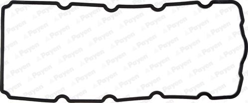 Payen JM5119 - Guarnizione, Copritestata www.autoricambi360.it