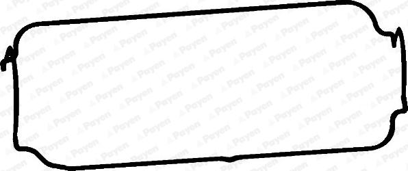 Payen JM5185 - Guarnizione, Copritestata www.autoricambi360.it