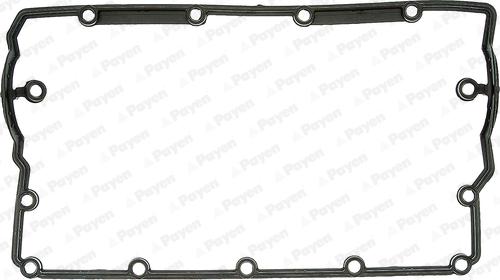 Payen JM5203 - Guarnizione, Copritestata www.autoricambi360.it