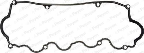 Payen JM5277 - Guarnizione, Copritestata www.autoricambi360.it