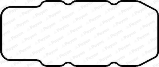 Payen JM053 - Guarnizione, Copritestata www.autoricambi360.it