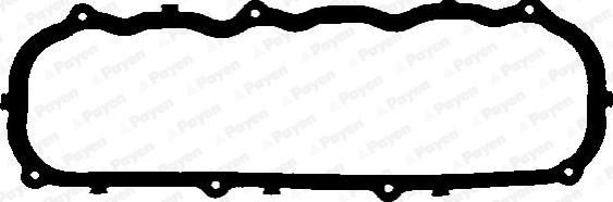 Payen JM875 - Guarnizione, Copritestata www.autoricambi360.it