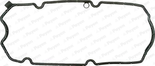 Payen JM7099 - Guarnizione, Copritestata www.autoricambi360.it