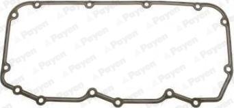 Payen JM7194 - Guarnizione, Copritestata www.autoricambi360.it
