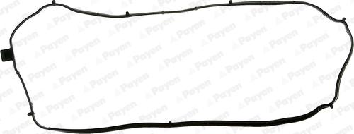 Payen JM7125 - Guarnizione, Copritestata www.autoricambi360.it