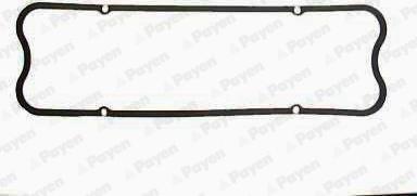 Payen JN650 - Guarnizione, Copritestata www.autoricambi360.it