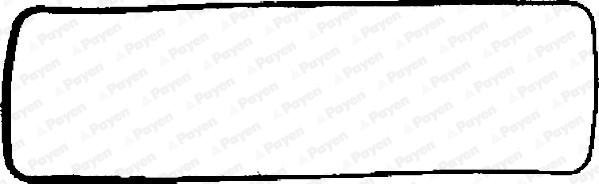Payen JN600 - Guarnizione, Copritestata www.autoricambi360.it