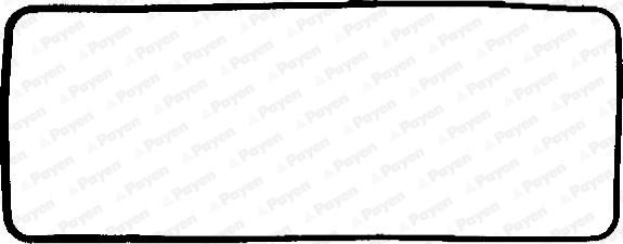 Payen JN292 - Guarnizione, Copritestata www.autoricambi360.it