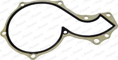 Payen KA5020 - Guarnizione, Pompa acqua www.autoricambi360.it