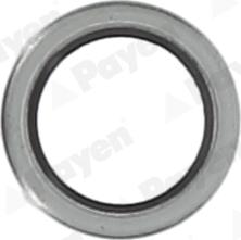 Payen KG5011 - Anello di tenuta, vite di scarico olio www.autoricambi360.it