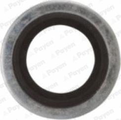 Payen KG5012 - Anello di tenuta, vite di scarico olio www.autoricambi360.it