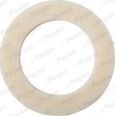 Payen KG5144 - Anello di tenuta, vite di scarico olio www.autoricambi360.it