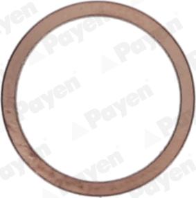 Payen KG5148 - Anello di tenuta, vite di scarico olio www.autoricambi360.it
