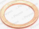 Payen KG5158 - Anello di tenuta, vite di scarico olio www.autoricambi360.it