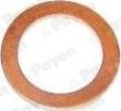 Payen KG5346 - Anello di tenuta, vite di scarico olio www.autoricambi360.it