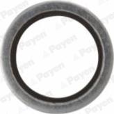 Payen KG5341 - Anello di tenuta, vite di scarico olio www.autoricambi360.it