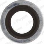 Payen KG5351 - Anello di tenuta, vite di scarico olio www.autoricambi360.it