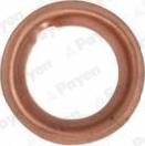 Payen KG5353 - Anello di tenuta, vite di scarico olio www.autoricambi360.it