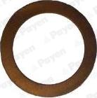 Payen KG5369 - Anello di tenuta, vite di scarico olio www.autoricambi360.it