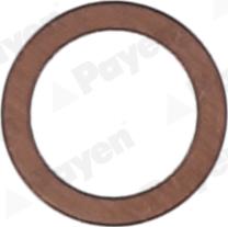 Payen KG5366 - Anello di tenuta, vite di scarico olio www.autoricambi360.it
