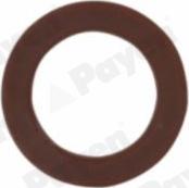 Payen KG5313 - Anello di tenuta, vite di scarico olio www.autoricambi360.it