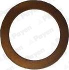Payen KG5384 - Anello di tenuta, vite di scarico olio www.autoricambi360.it
