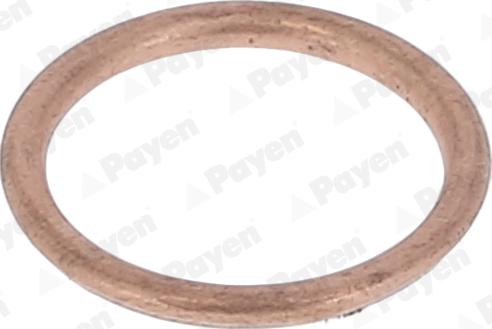 Payen KJ647 - Anello di tenuta, vite di scarico olio www.autoricambi360.it